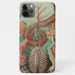 Worms, Annelids Chaetopoda by Ernst Haeckel iPhone 11 Pro Max Case