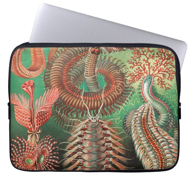 Worms, Annelids Chaetopoda by Ernst Haeckel Laptop Sleeve (Front)