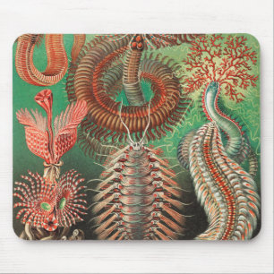 Worms, Annelids Chaetopoda by Ernst Haeckel Mouse Mat