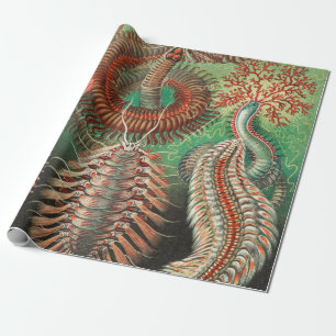 Worms, Annelids Chaetopoda by Ernst Haeckel Wrapping Paper