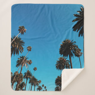Worm's eye view of trees sherpa blanket