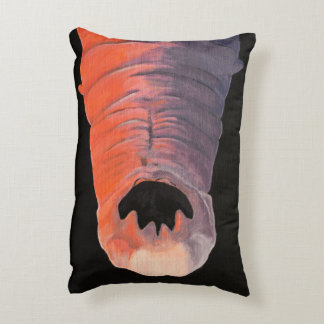 Wormy The Hookworm Pillow