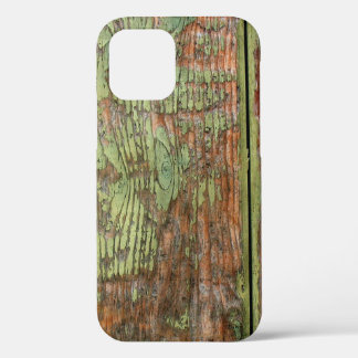 Worn and Weathered Green Barn Wood iPhone 12 Case