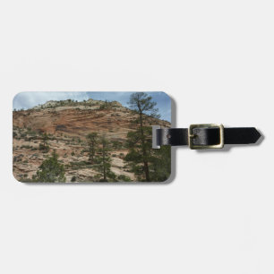 Worn Rock Walls in Zion National Park Luggage Tag