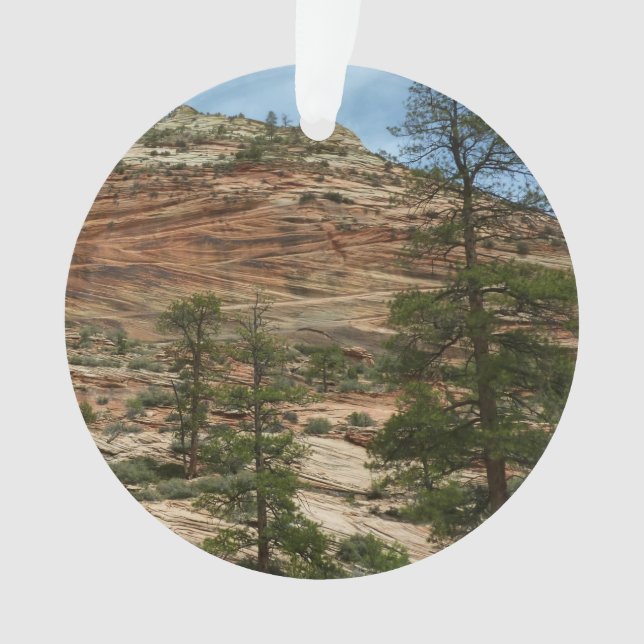 Worn Rock Walls in Zion National Park Ornament (Front)