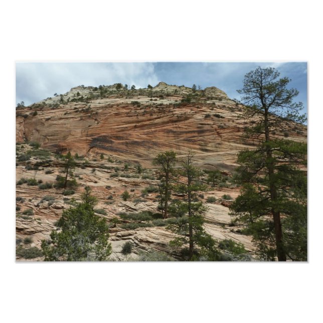 Worn Rock Walls in Zion National Park Photo Print (Front)