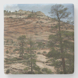 Worn Rock Walls in Zion National Park Stone Coaster