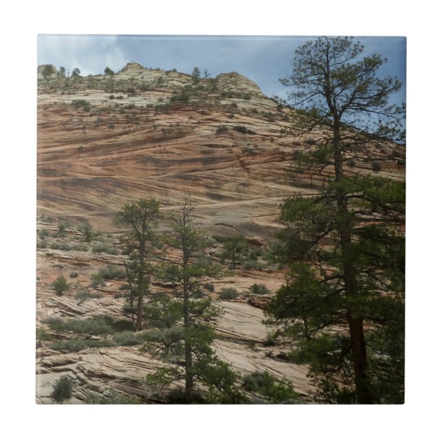 Worn Rock Walls in Zion National Park Tile (Front)