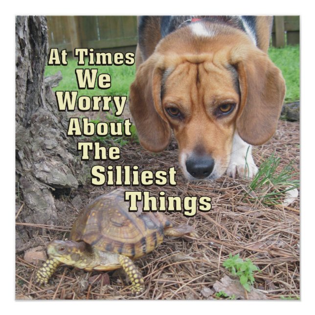 Worried Beagle Dog & Turtle Poster (Front)
