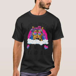 Worse Hetero And I Stand Bi It Cat Bisexual Flag B T-Shirt