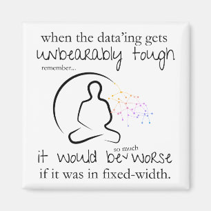 Worse If In Fixed-Width Funny Data Magnet