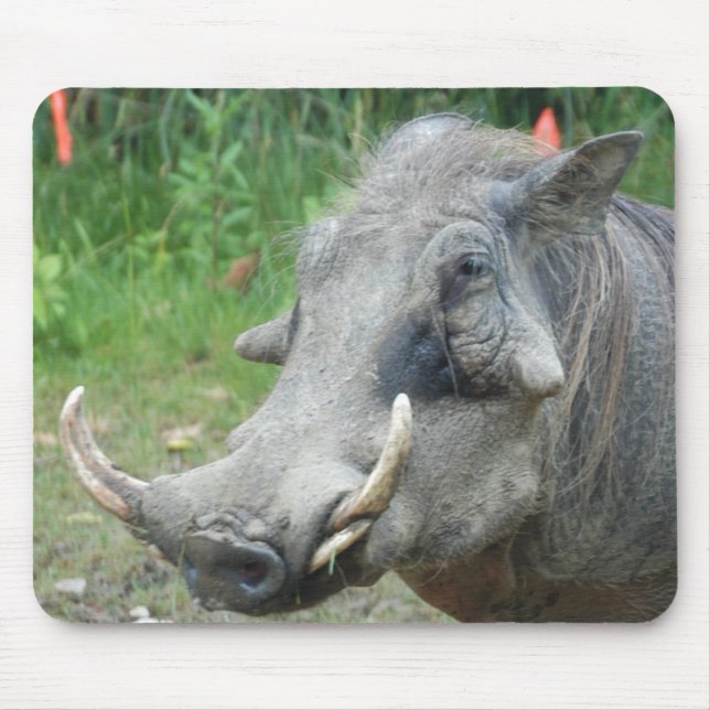 wort-hog10x10 mouse mat (Front)