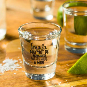 Worth A Shot Pun Shot Glass Funny Shot Glasses