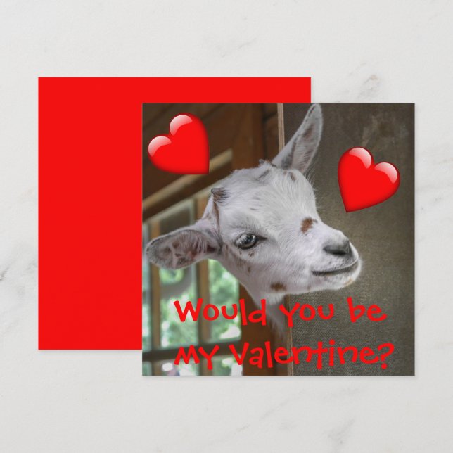 Would You Be My Valentine? Goat Funny Card (Front/Back)