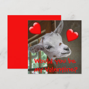 Would You Be My Valentine? Goat Funny Card