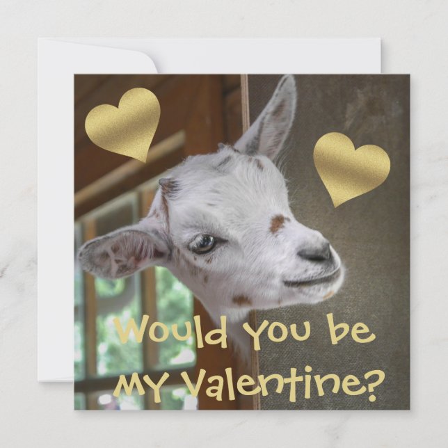Would You Be My Valentine? Goat Funny Valentine  (Front)
