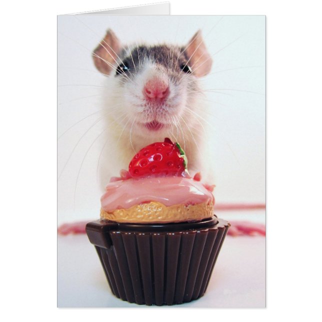 Would Yous Likes a Candy? (Front)