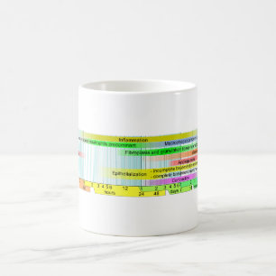 Wound Healing Phases Diagram Coffee Mug