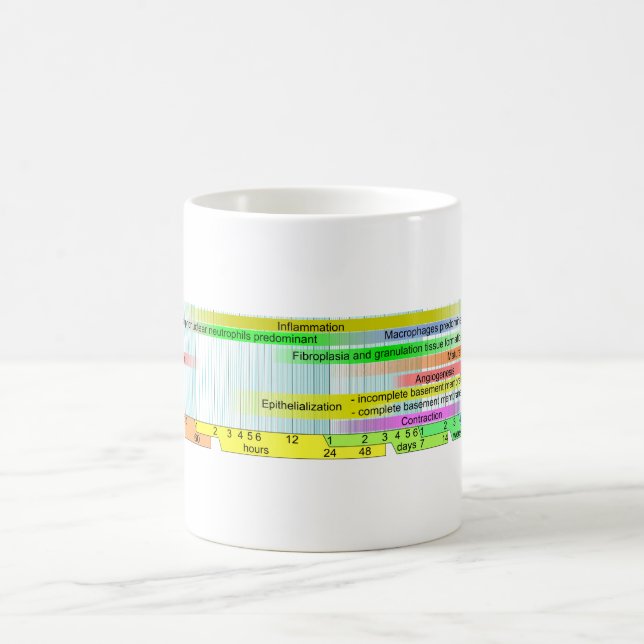 Wound Healing Phases Diagram Coffee Mug (Center)