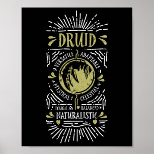Wow Druid Role Playing Gamer 1 Poster