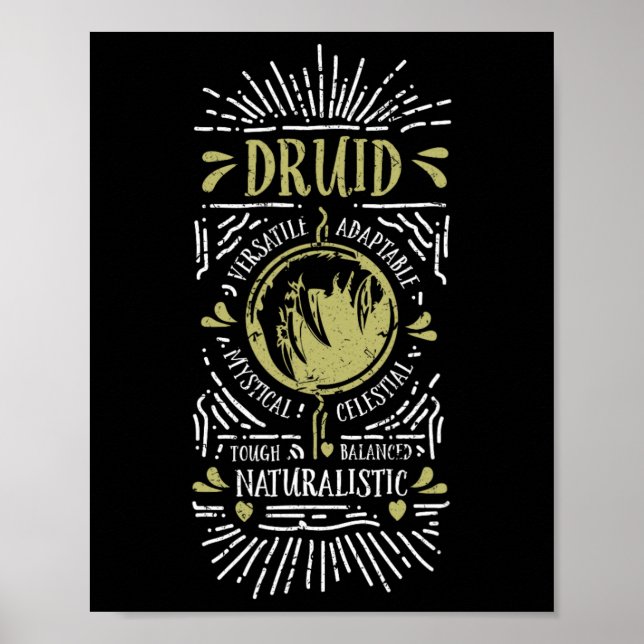 Wow Druid Role Playing Gamer 1  Poster (Front)