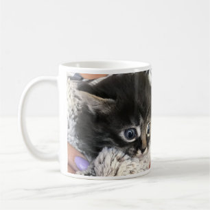 Wow, I Admire You! Cat Coffee Mug