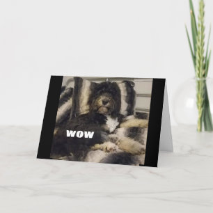 WOW JUST CAN'T BELIEVE YOU ARE "60" CARD