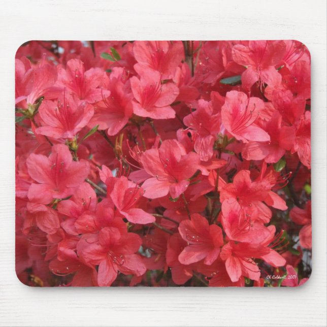 Wow! Mouse Mat (Front)