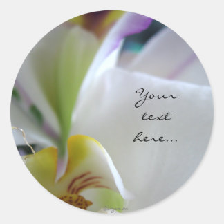 Wow Phalaenopsis Orchid Wedding Invitation Seals