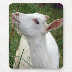 Wow! This Grass is Taller Than Me Mouse Mat