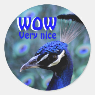WOW very nice Classic Round Sticker