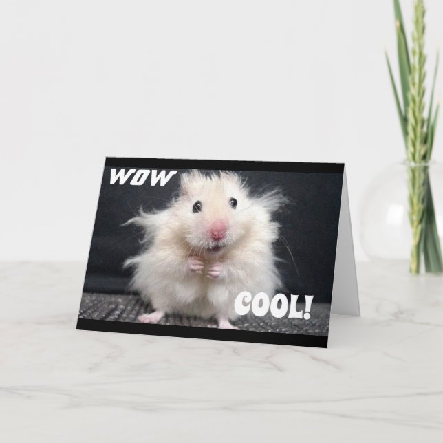 WOW YOU ARE **60** SAYS COOL HAMSTER CARD (Front)