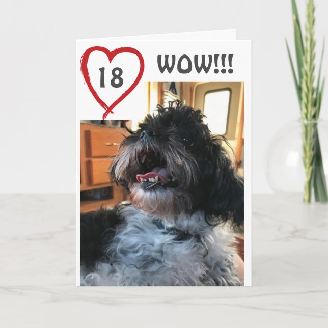 **WOW** YOU ARE HAVING A **18th** BIRTHDAY Card (Front)