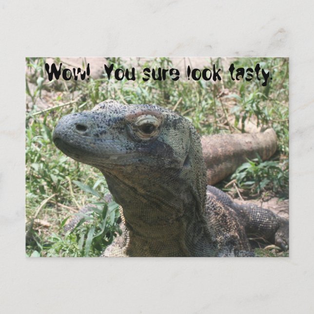 Wow!  You sure look tasty. Postcard (Front)