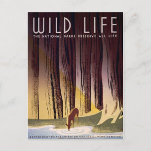 WPA National Parks Poster Postcard