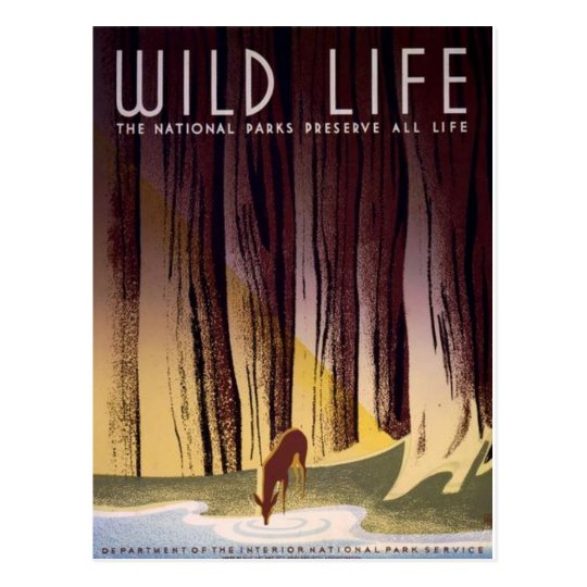 WPA National Parks Poster Postcard