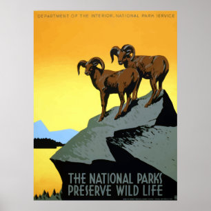 WPA Vintage National Parks Wildlife Travel Poster