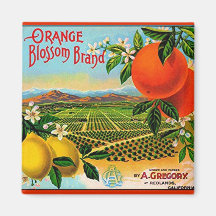 WQ MAGNET : Orange Blossom Crate Label