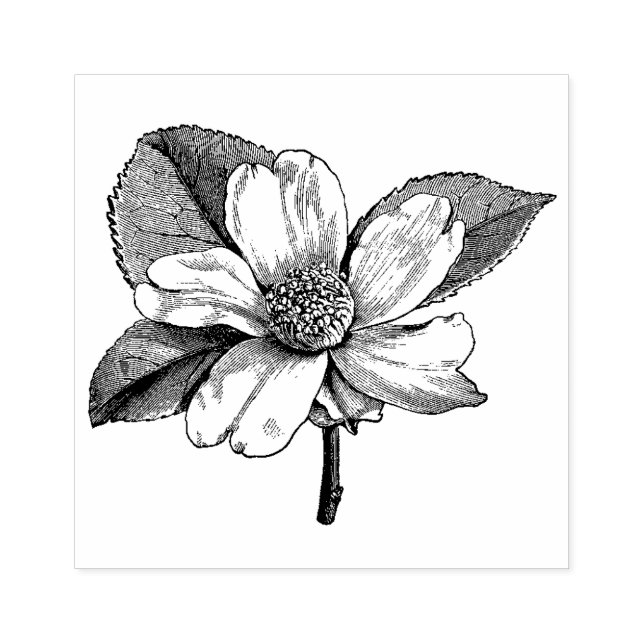 WQ RUBBER STAMP : Vintage Dogwood Flower (Imprint)
