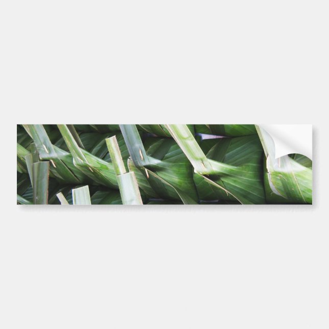 Wrapped Banana Leaf Packets Bumper Sticker (Front)