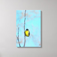 Wrapped Canvas - Angry Finch