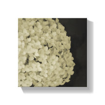 Wrapped canvas flower photography print artwork