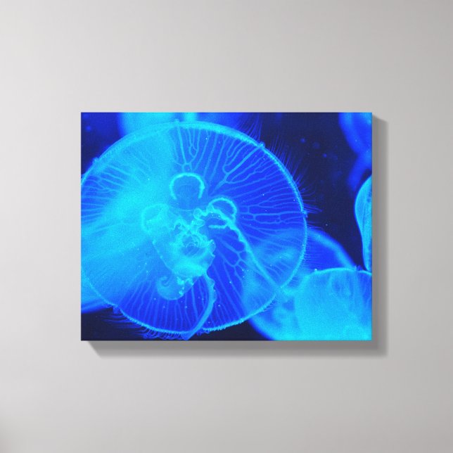 Wrapped Canvas Jelly Fish (Front)