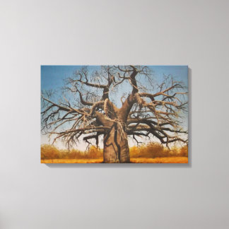 Wrapped Canvas Of Baobab Tree