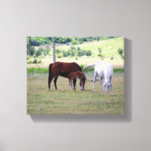 Wrapped Canvas Print, Horse Family