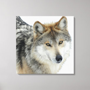Wrapped Canvas/Wolf Canvas Print