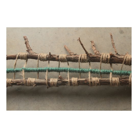 Wrapped Cedar Nature Art Closeup