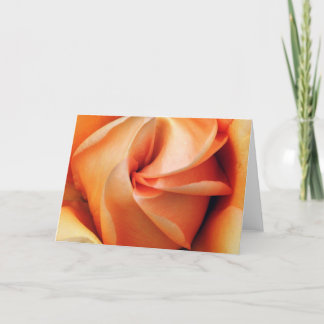 Wrapped Holiday Card