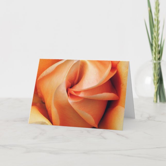 Wrapped Holiday Card (Front)