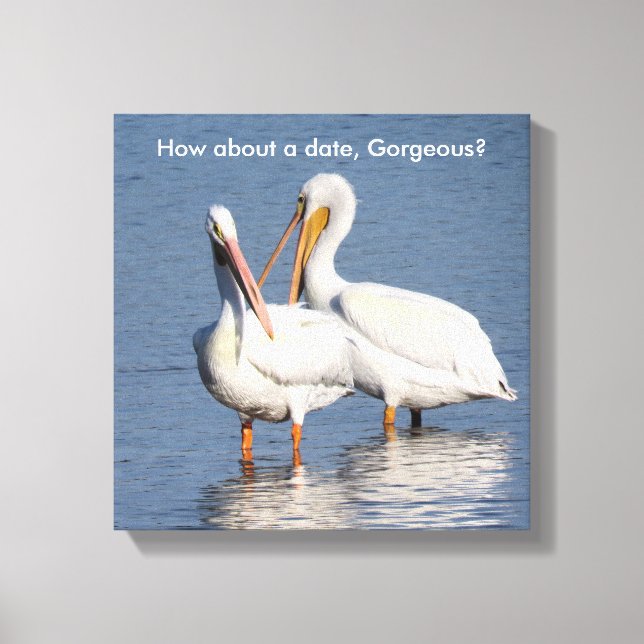 Wrapped Print of Two Funny Pelicans (Front)